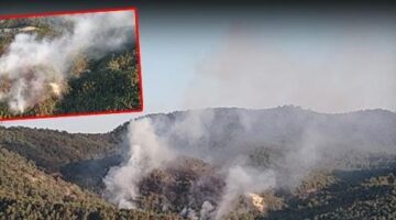 Bolu’da orman yangını! Ekipler havadan ve karadan müdahale ediyor