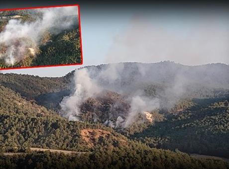 Bolu’da orman yangını kontrol altında