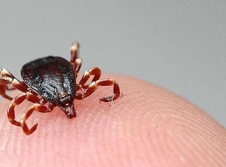Bolu’da şok vaka! İlk ölüm gerçekleşti kent diken üstünde