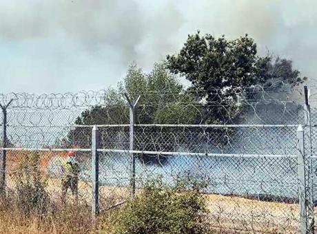 Bulgaristan’da orman yangını! Alevler Türkiye sınırına ulaştı