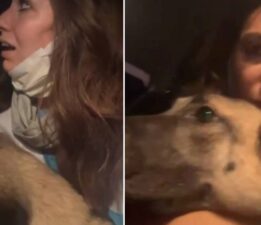 Bursa orman yangını: Kucağındaki köpekle alevlerden kaçtı