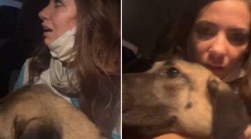 Bursa orman yangını: Kucağındaki köpekle alevlerden kaçtı