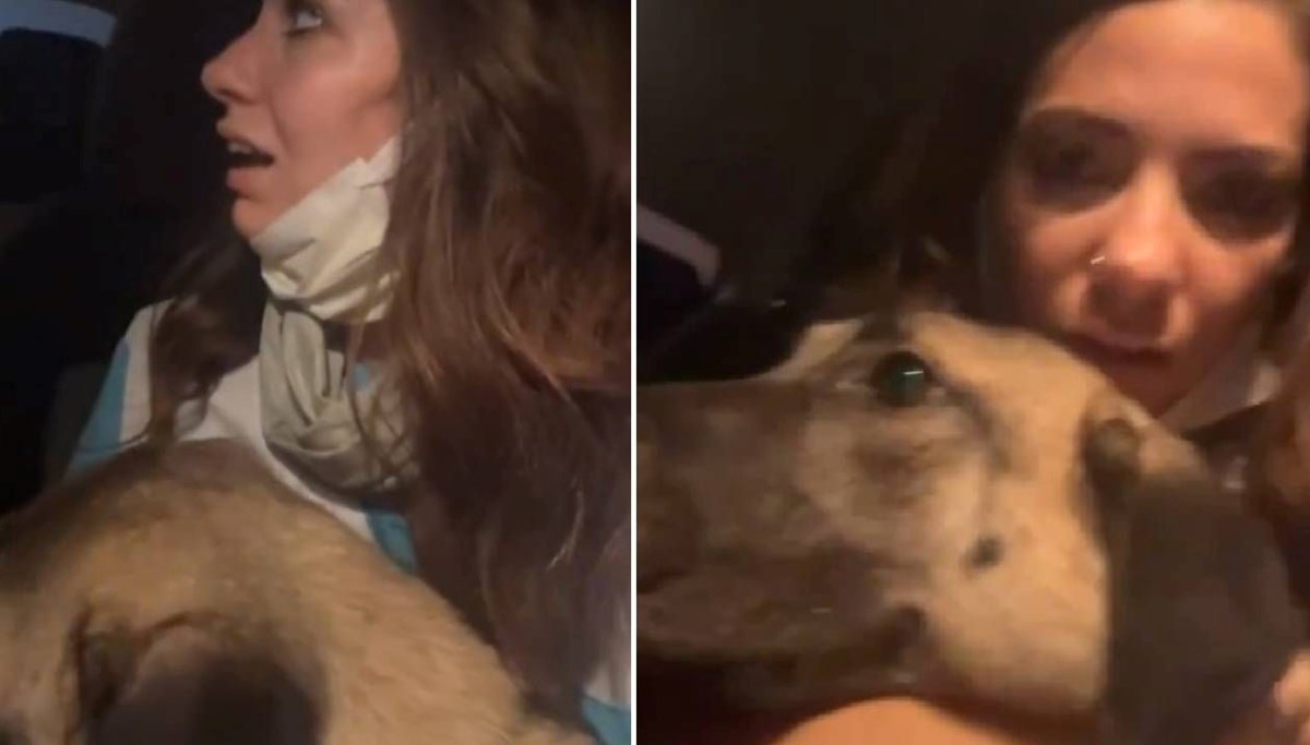 Bursa orman yangını: Kucağındaki köpekle alevlerden kaçtı