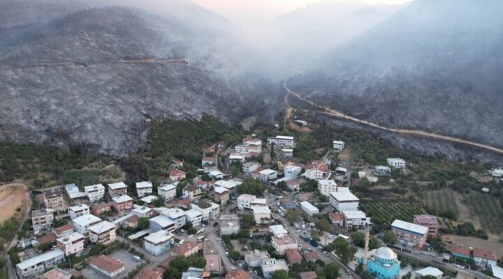 Bursa’da acı tablo: Yangının boyutu gün ağarınca ortaya çıktı