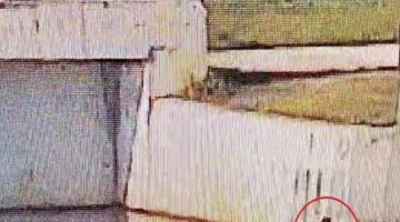 Bursa’da korku dolu anlar! 1,5 yaşındaki bebek parkta çaya düştü, güvenlik görevlisi böyle kurtardı