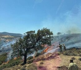 Çanakkale’de korkutan yangın! Havadan ve karadan müdahale başladı