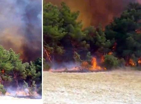 Çanakkale’de orman yangını! Çok sayıda ekip sevk edildi