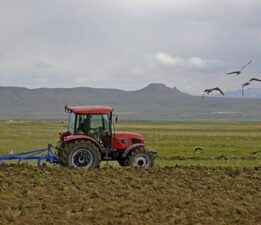 Çiftçi destekleme ödemesi hesaplara yatırılmaya başladı