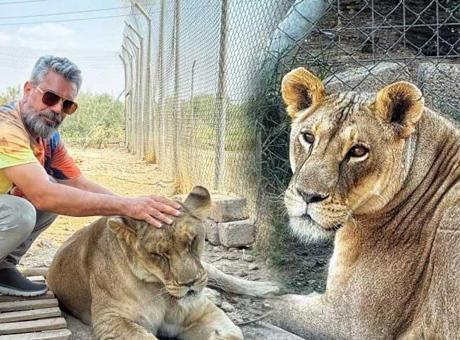 Diyarbakırlı aslan bakıcısı 14’üyle birlikte yaşıyor! ‘Her şey arkadaşımın hediyesiyle başladı’