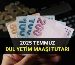 Dul ve yetim Temmuz maaş zammı: Dul ve yetim aylığı ne kadar oldu? Hisse oranlarına göre dul yetim parası