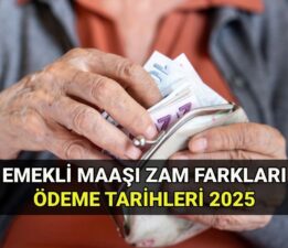 Emekli maaşı zam farkı ödeme tarihleri 2025: Temmuz emekli zammı maaş farkları ne zaman yatacak? Tahsis numarasına göre ödeme günleri