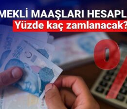 Emekli maaşları % kaç zamlanacak? SSK, Bağ-Kur, Emekli Sandığı emekli maaş zammı hesaplaması (Temmuz 2025 Emekli zammı son dakika gelişmeleri)
