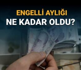 Engelli aylığı ne kadar oldu? (Temmuz zammı sonrası 2025 engelli aylığı tutarı)