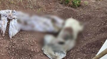 Eskişehir’de mezarlıkta korkunç olay! Bezi açan ekiplerin kanı dondu