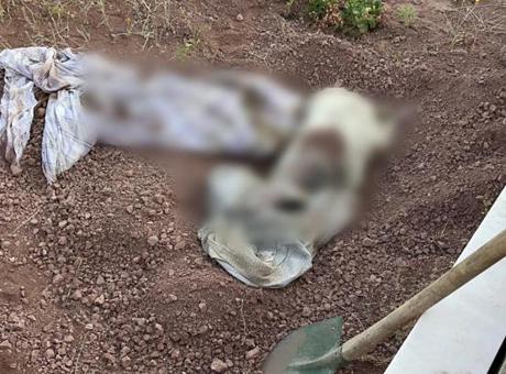 Eskişehir’de mezarlıkta korkunç olay! Bezi açan ekiplerin kanı dondu