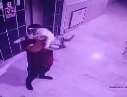 Hamile kediyi yere fırlattı!