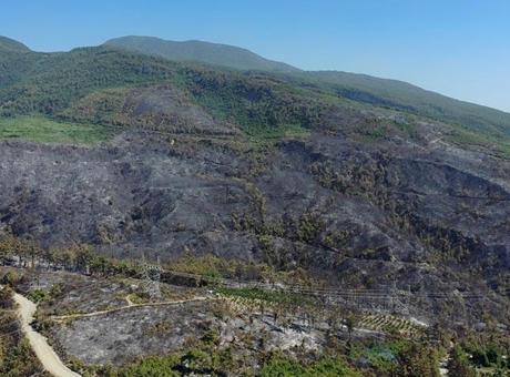 Hatay Dörtyol’daki orman yangını kontrol altına alındı