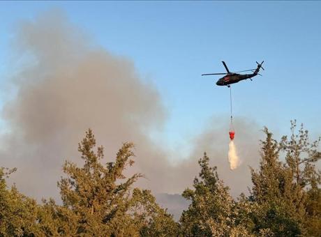Havai fişekle yangına sebep olan şüphelilere ağaç dikme cezası