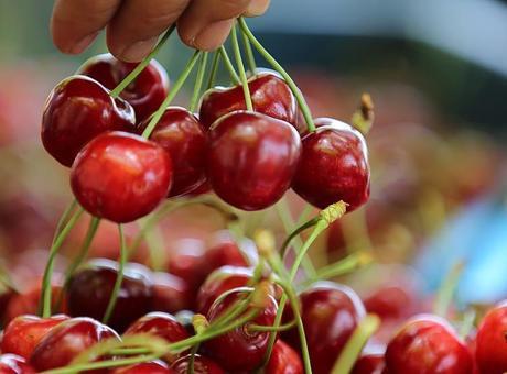 İstanbul’da Haziran ayında en çok kiraz pahalandı