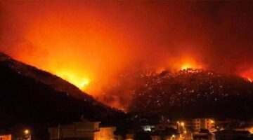 İstanbul’daki belediyelerden Bursa’daki orman yangınlarına destek