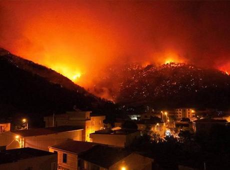 İstanbul’daki belediyelerden Bursa’daki orman yangınlarına destek