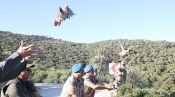 İzmir’de 1500 kınalı keklik doğaya salındı