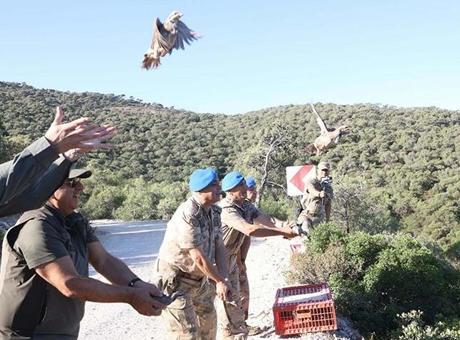 İzmir’de 1500 kınalı keklik doğaya salındı