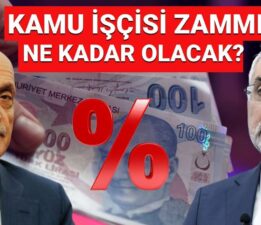 Kamu işçisi toplu sözleşme zammı % kaç olacak? Kamu işçisi toplu sözleşme zammıyla ilgili kritik açıklama
