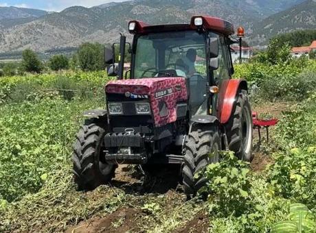 Karpuzun tarladaki dönüm fiyatı 10 bin liraya geriledi
