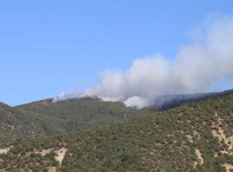 Kastamonu’da orman yangını! Havadan ve karadan müdahale ediliyor