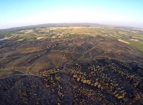 Keşan’da yangının acı bilançosu: Zarar gören alanlar havadan görüntülendi