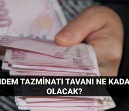 Kıdem tazminatı tavanı Temmuz’da ne kadar olacak? 2025 Kıdem tazminatı hesaplaması: Kıdem tazminatı kaç lira?
