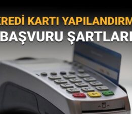 Kredi kartı yapılandırma başvurusu nasıl yapılır, başvuru şartları neler?