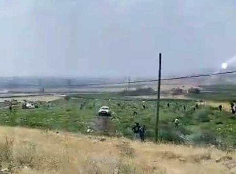 Mardin’de ilginç olay! Tarlasına giden çiftçi gözlerine inanamadı