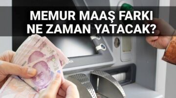 Memur maaş farkı ödemesi sorgulama: 2025 Temmuz 14 günlük memur maaş farkı ne zaman yatacak?