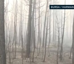 NTV Bursa’da yanan ormanları görüntüledi