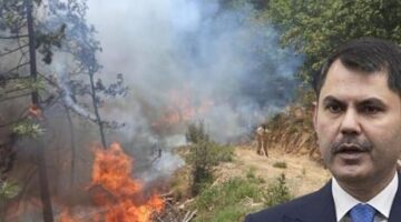 Orman yangınları! Bakan Kurum: İzmir ve Bilecik’te 415 yapı hasarlı, çalışmalar 7/24 devam ediyor