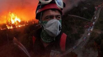 Orman yangınlarına götüren süreç! Çamdan başkası yaşamaz: ‘Uçak gelip gider, şerit açın’