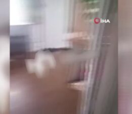 Rusya’nın doğusunda 8,8’lik deprem anı kamerada