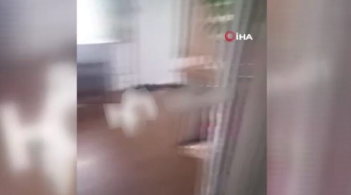 Rusya’nın doğusunda 8,8’lik deprem anı kamerada