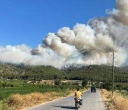 Sakarya’da orman yangını