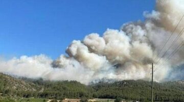 Sakarya’da orman yangını
