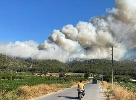 Sakarya’da orman yangını