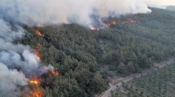 Şarköy yangını Gelibolu’ya sıçradı