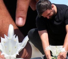 Servet değerinde! Tek bir dalın bedeli 380 bin TL
