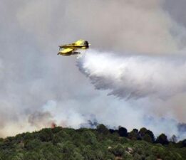 Son 10 günde çıkan 761 yangının tamamı kontrol altına alındı