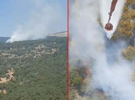 Son dakika… Aydın’da orman yangını! Havadan ve karadan müdahale başladı