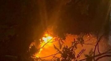 SON DAKİKA ORMAN YANIGINI: Beykoz’da orman yangını çıktı! Beykoz orman yangını son durum nedir, söndürüldü mü?