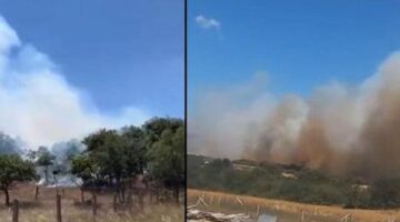 Son dakika… Silivri’de orman yangını! Müdahale başladı