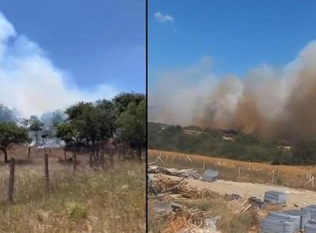 Son dakika… Silivri’de orman yangını! Müdahale başladı